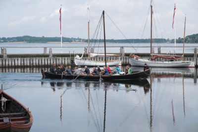 Roskilde2013-9731.jpg