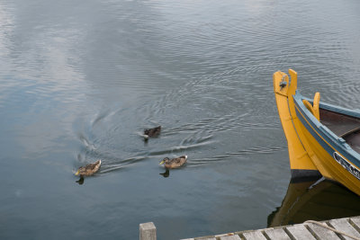 Roskilde2013-9781.jpg