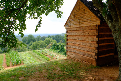 Monticello-17.jpg