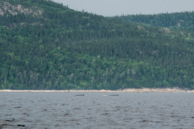 Quebec2016-83.jpg