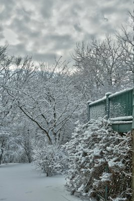 snowy morning HDR