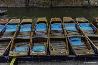 20130703 Cambridge - Puntings 1.jpg