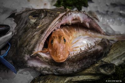 20130705 Borough Market - Fish in Fish.jpg