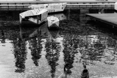 16 HK Sai Kung - Paper Boats Pond.jpg