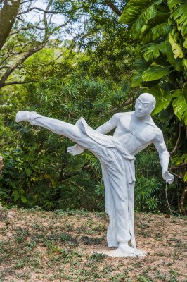 20140326 Shek Kwu Chau 0074 Fighting Monk 2.jpg