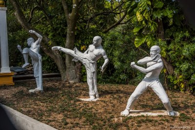 20140326 Shek Kwu Chau 0134 Fighting Monk 5.jpg