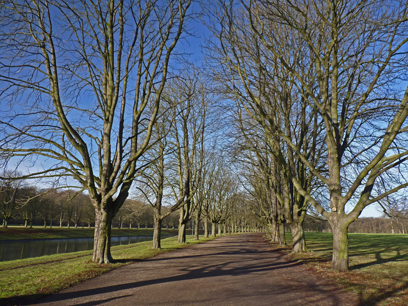 g9/35/663235/2/154134687.Jnnv14lv.jpg