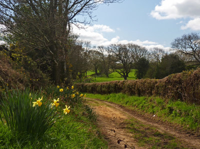 Near Brimham Rocks