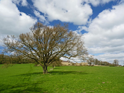 In Nidderdale