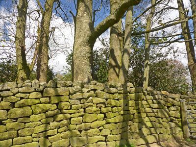 In Nidderdale