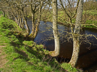 Near Summerbridge
