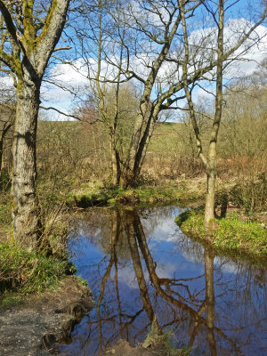 At Fewston Reservoir