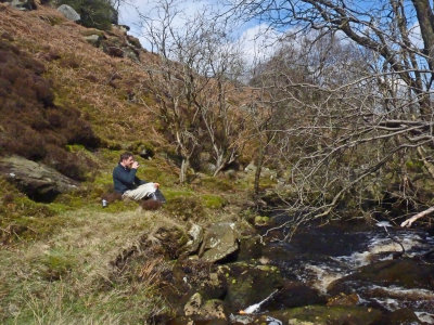 Ravensgill