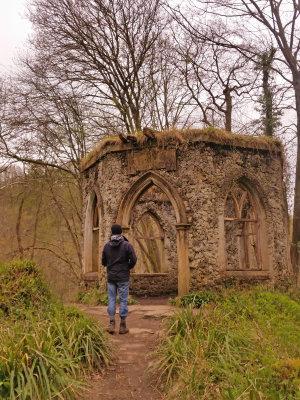 Hackfall Wood