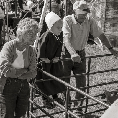 g9/35/664835/3/157652495.fZAZPI06.jpg