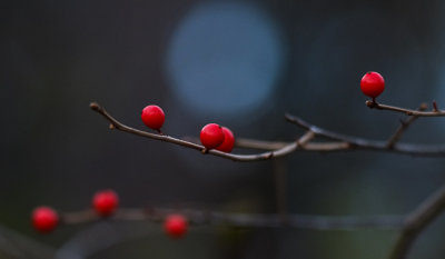 Dark Autumn Day