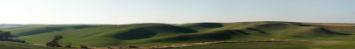 A Day on the Palouse