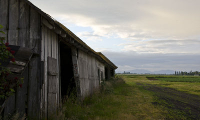 long shed