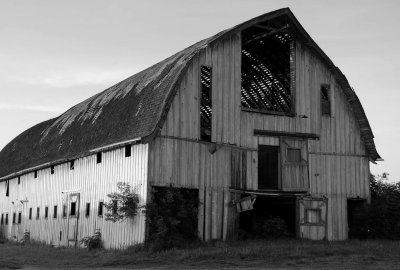 Fir Island Barn