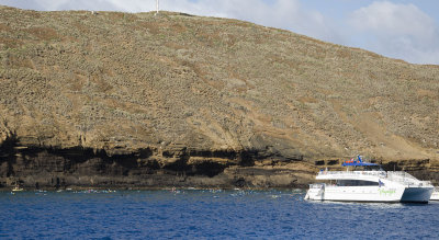 Shark Bait at Molokini