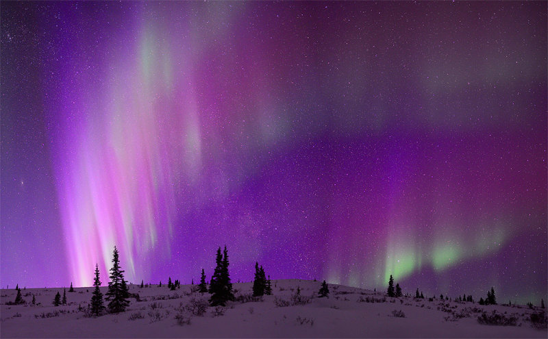 The Elusive Purple Aurora