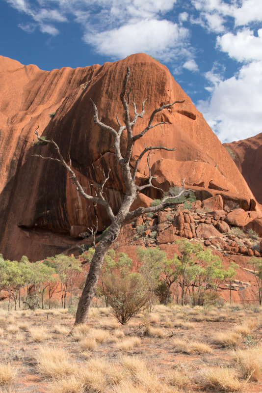 ULURU 