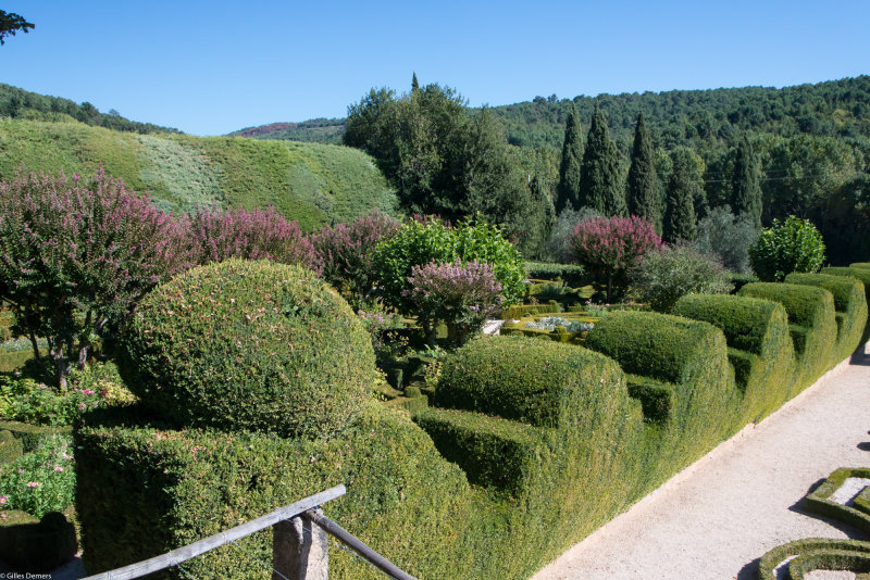 Jardin du vignoble du Chteau Matheus