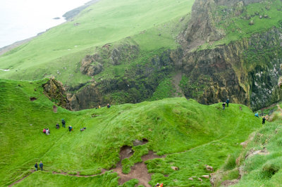 Paysage verdoyant sur l'le de Mykines / Green landscape on Mykines Island