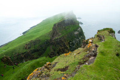 Paysage verdoyant sur l'le de Mykines / Green landscape on Mykines Island