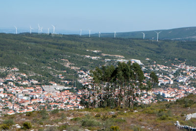 g9/35/739435/3/164523035.asEGSey8.jpg