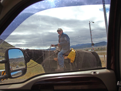 Horse Powered Alternative Transportation