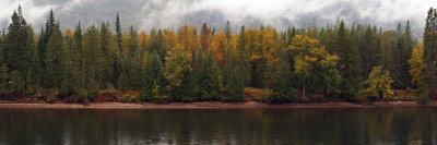Autumn on The Clark Fork
