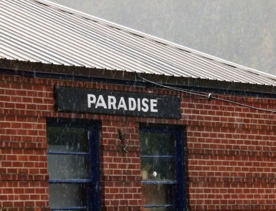 Rain in Paradise