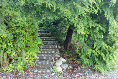 Stepped Path