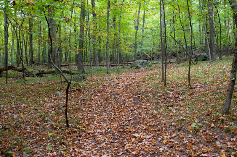 See the trail?
