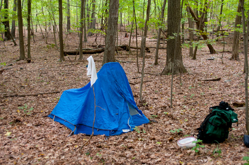 My campsite