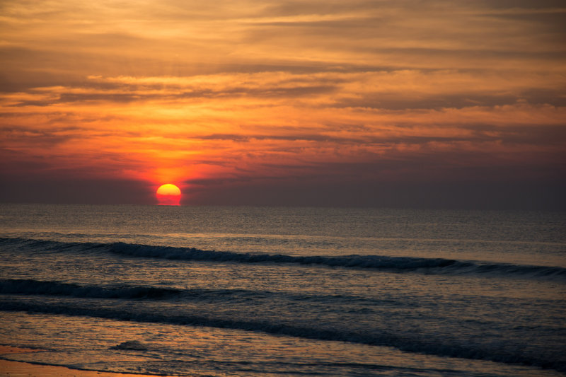 _D706973.jpg
