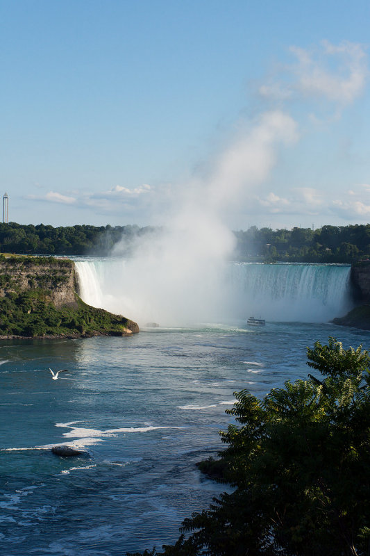 _D721093.jpg