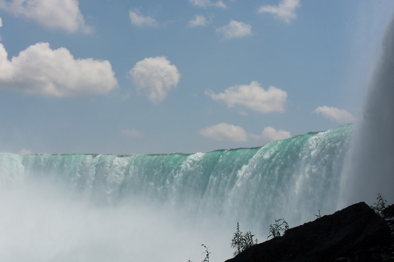 _D721500.jpg