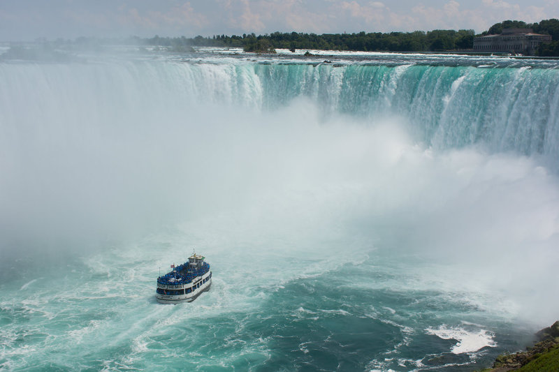 _D721529.jpg