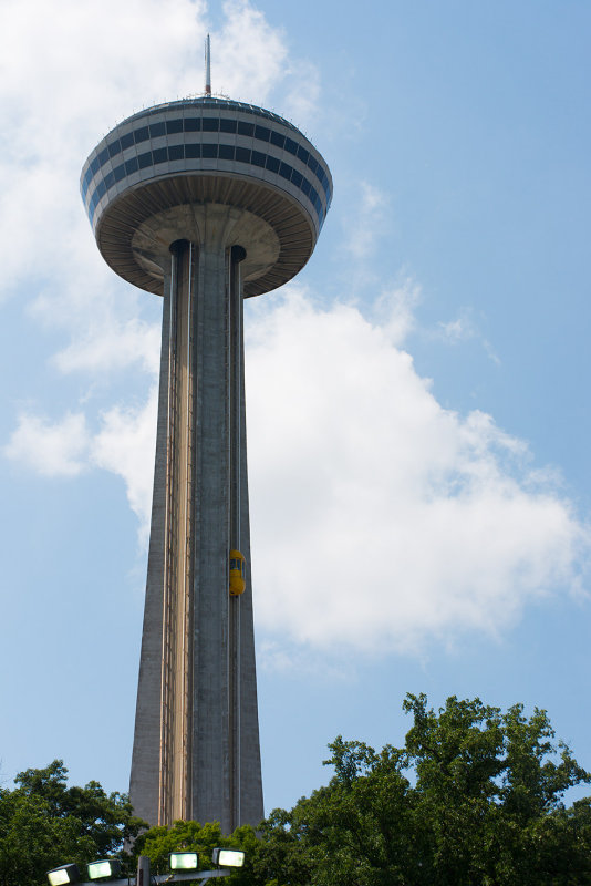 _D721533.jpg