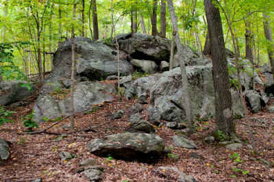 Some rock