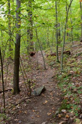 Trail