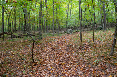 See the trail?