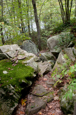 See the trail marker?