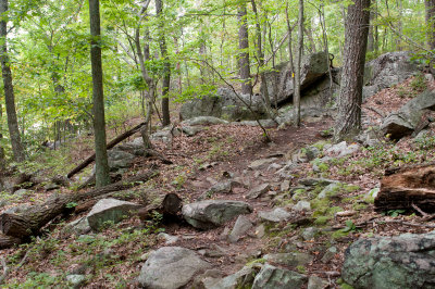 See the trail marker?