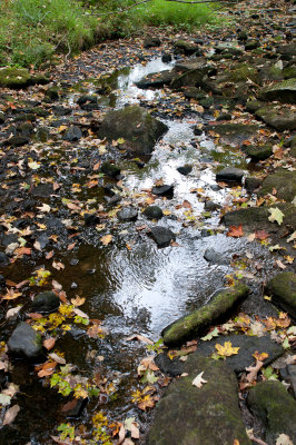 Puddle