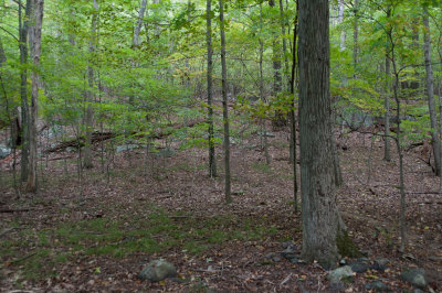 _D348141.jpg