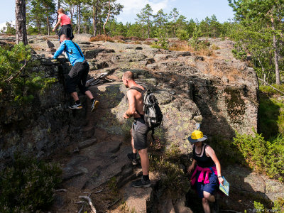 Upp på Mjältön