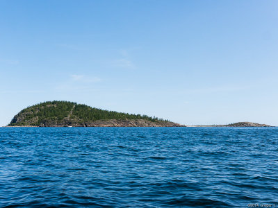 Högbonden